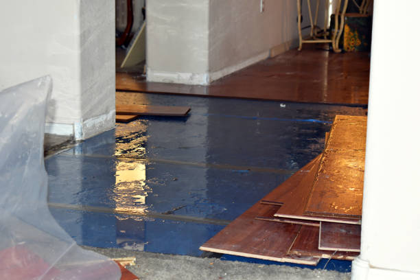 Professional Water Damage technician working in Carle Place, NY
